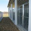 A view of the outside kennels!  